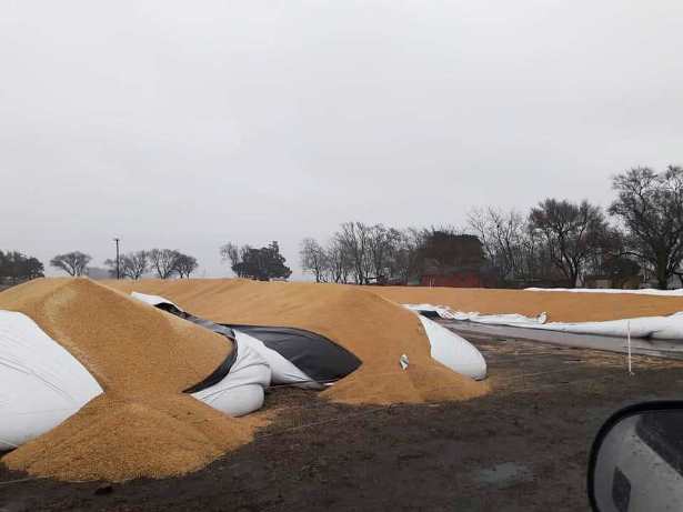 Loberia: Fuerte repudio por la rotura de silo bolsas