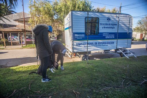 MAR CHIQUITA SE SUMA AL PROGRAMA NACIONAL DE TENENCIA RESPONSABLE Y SANIDAD EN PERROS Y GATOS