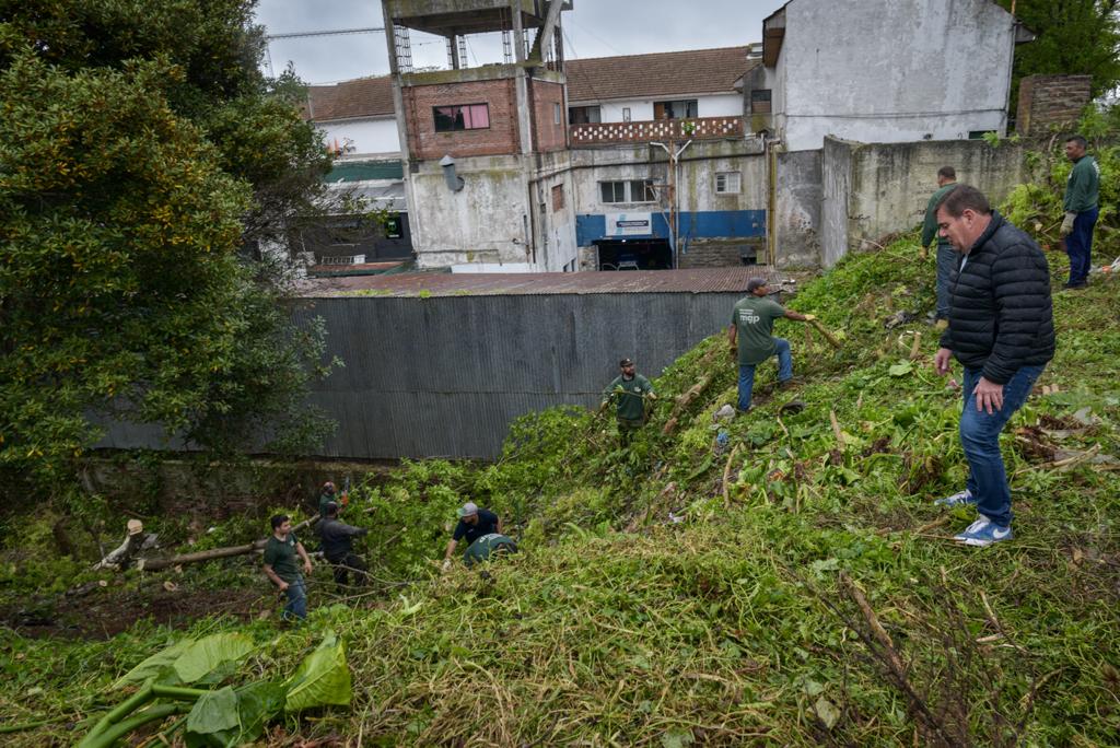 Mar del Plata: El Municipio ya retiró 88 toneladas de residuos de terrenos privados abandonados y luego cobró los gastos a los dueños