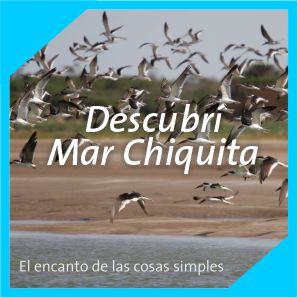 Diego Mogilanski, Mar Chiquita,