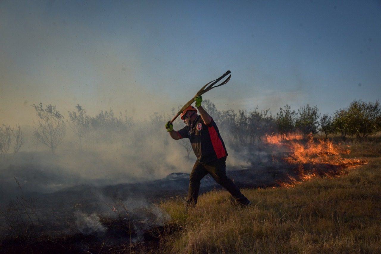 Mar del Plata: Se esperan probabilidades de generación de incendios forestales muy altas