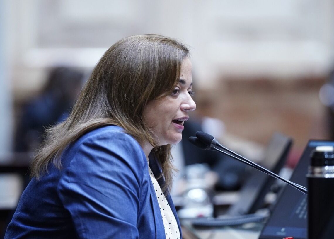 Cecilia Moreau “los senadores de Juntos por el Cambio no tienen empatía ni responsabilidad política”