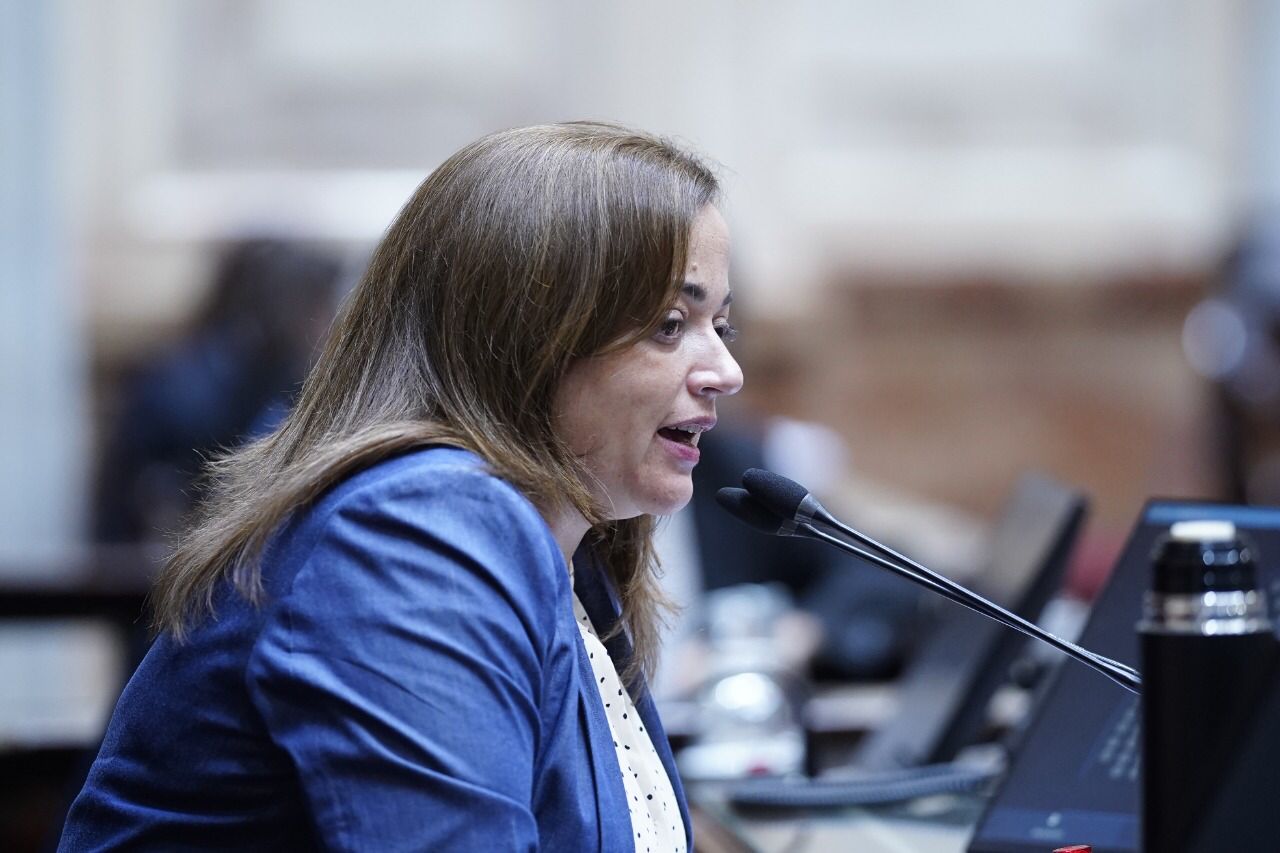 Cecilia Moreau “los senadores de Juntos por el Cambio no tienen empatía ni responsabilidad política”