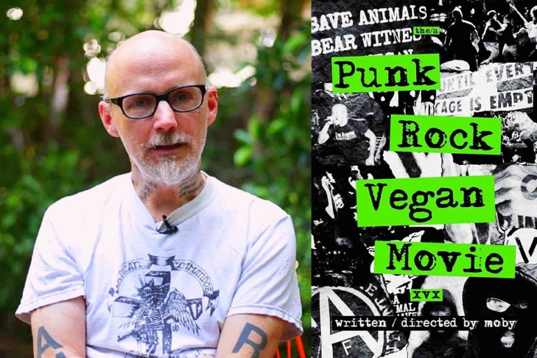 el punk rock vegan tour llega a santa clara del mar