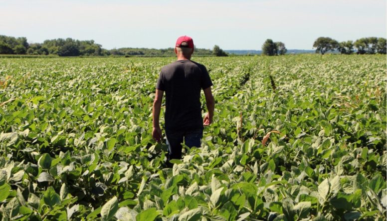 Realizarán el “2º Encuentro Regional para Productores y Empresas Agropecuarias” en Madariaga