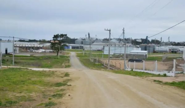 Tandil: Obras de Infraestructura en el Parque Industrial