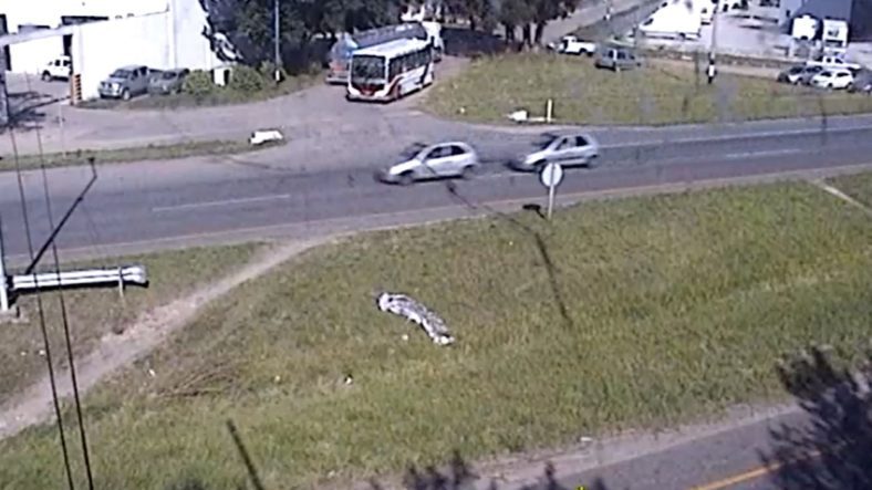 Mar del Plata: Recuperaron un vehículo que había sido robado en la ciudad