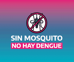 BANNER-WEB-DENGUE-2024_300x250 (1)
