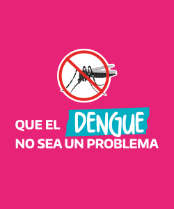 BW_Dengue2024_250x300px