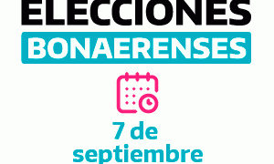 bannerweb eleccionesbonaerenses 300x250 1 (1)