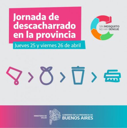 Salud realizará nuevas jornadas de descacharrado intensivo en municipios