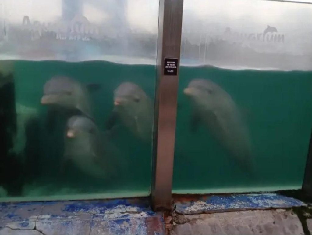 whatsapp image 2025 08 16 at 9.57.38 pm