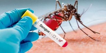 dengue01