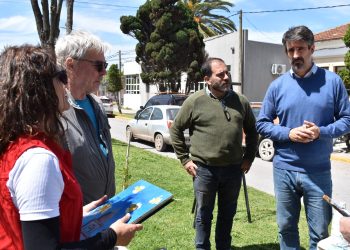 mga semana salud mental en miramar 20 oct 2025 a