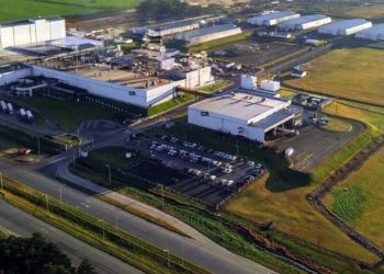 610825072 1367940462011199 8271312981066116150 n