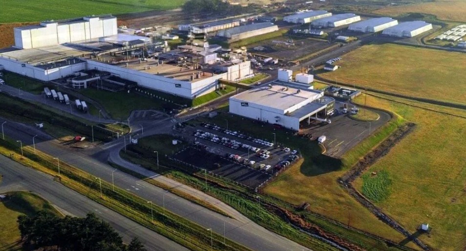 610825072 1367940462011199 8271312981066116150 n