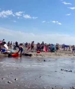 meteotsunami en mar chiquita