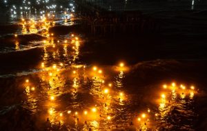 whatsapp image 2026 01 16 at 11.50.51