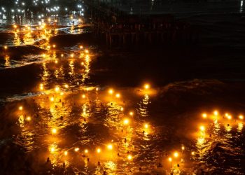 whatsapp image 2026 01 16 at 11.50.51