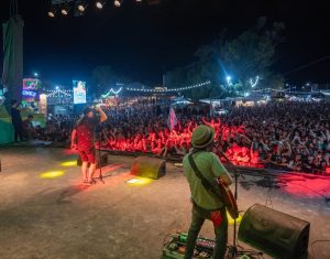 fiesta de la cerveza artesanal